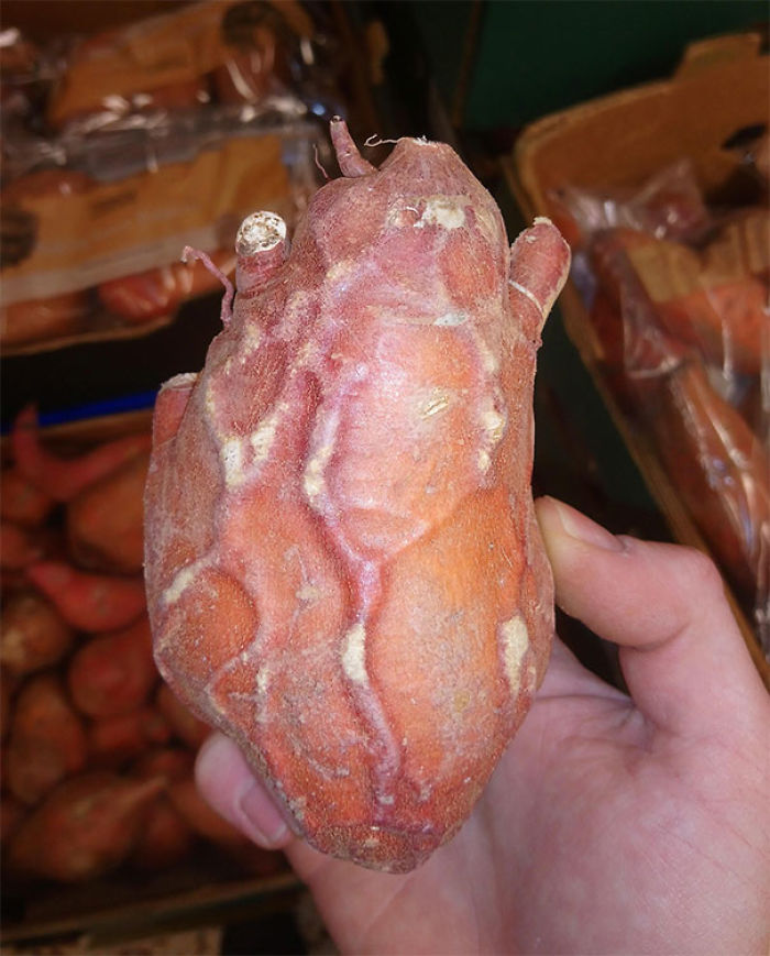 Sweet Potato Creepily Resembles Human Heart